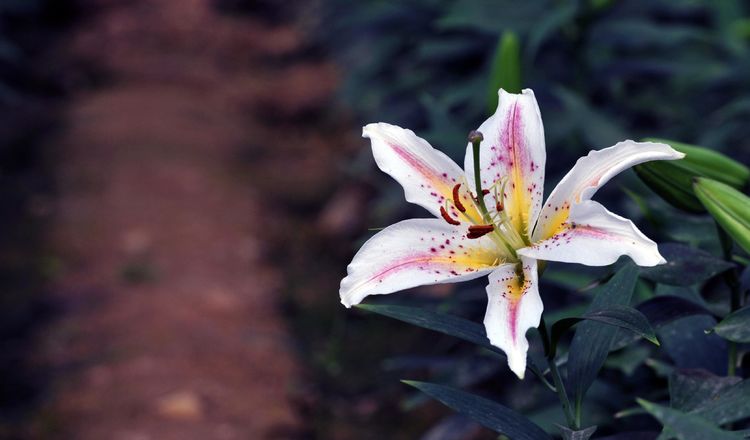 旧爱|9月份内，四大星座将有月老相助，与旧爱重归于好，旧情一点便燃