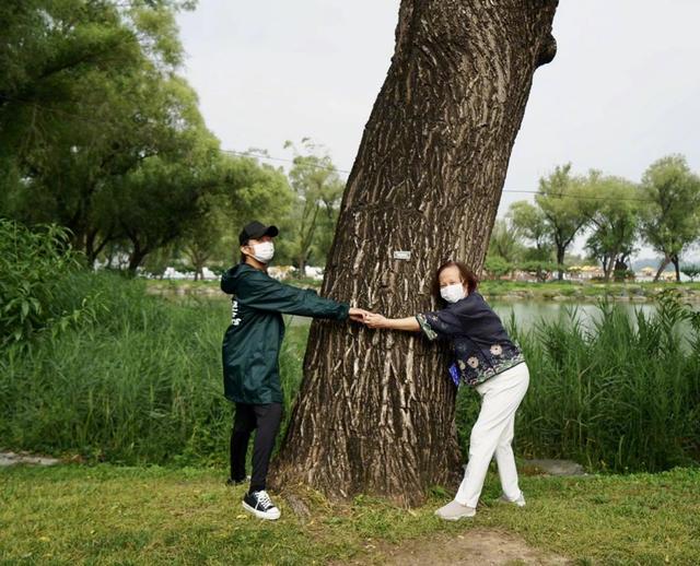 邓超|邓超分享与74岁母亲游玩照，疑孙俪亲自掌镜，母子合抱大树尽显温馨