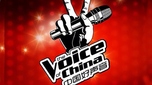 田燚|好声音\最惨\总冠军，如今销声匿迹，形同路人