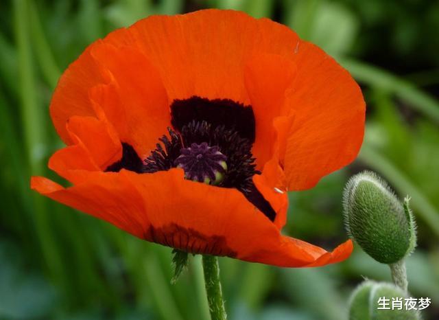 吉星：6月下旬，运势上上签，3生肖遇事有贵人帮忙解决，事业旗开得胜