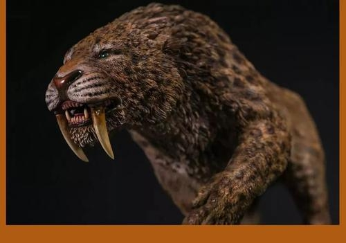 剑齿虎|为什么剑齿虎会突然灭绝？看完你就知道了。