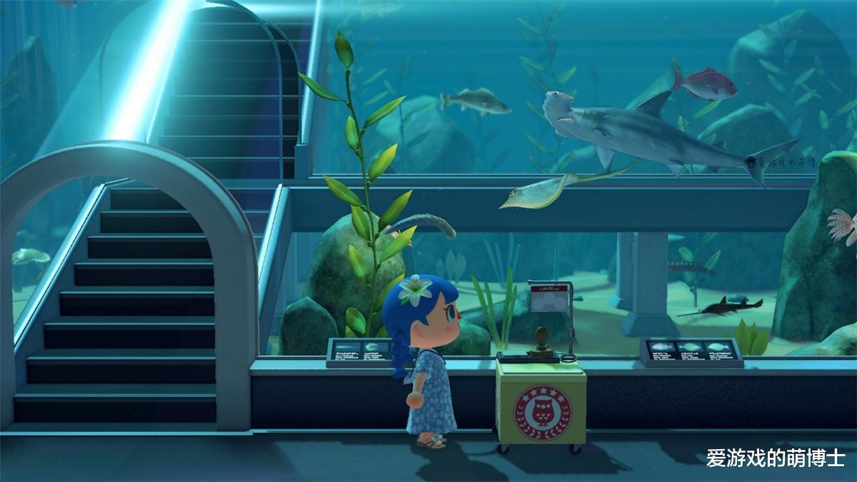 动物森友会■玩家挖掘出《动物森友会》大量新玩法，部分内容已被官方证实