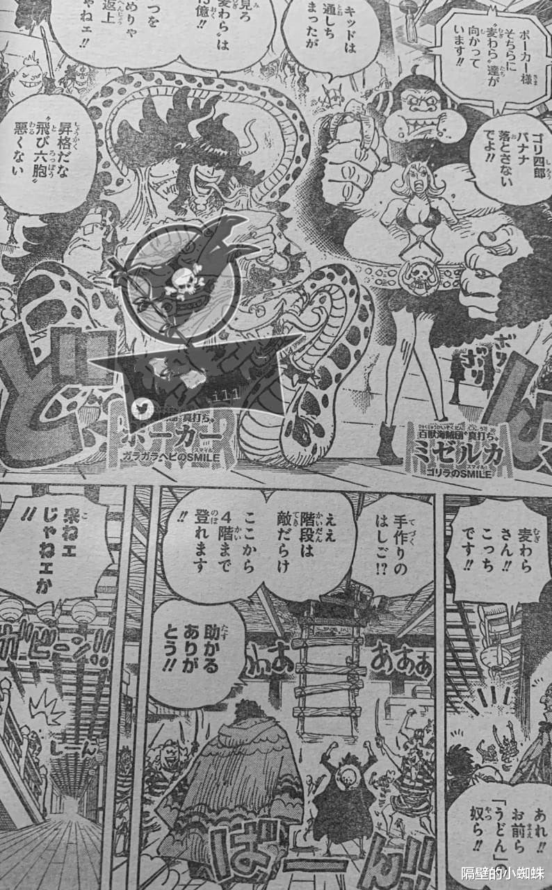 马尔科|海贼王997话：马尔科神助攻，破解奎因病毒，展示不死鸟真正能力