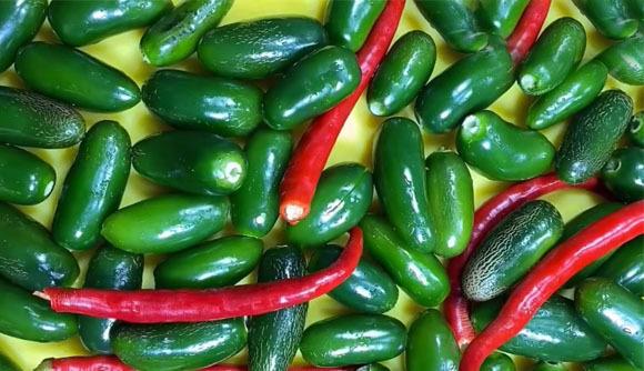 辣椒|秋季，遇到它别手软，买几斤不切不晒，放罐中一腌，能吃一年不坏