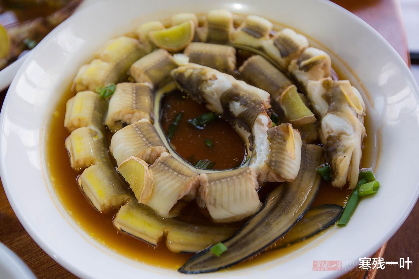 【浙江省】浙江海岛上的农家海鲜大餐,一桌15道菜1000块钱,你觉得值吗?