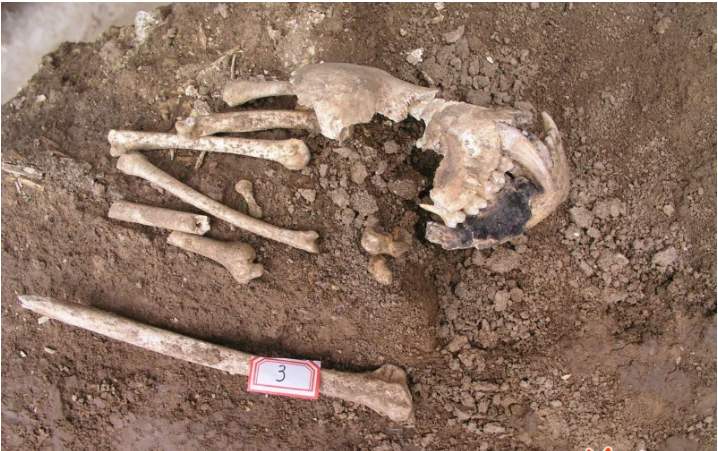 遗骸@嬴政奶奶墓挖出神秘动物遗骸，形状有点像人，专家：几乎绝种了