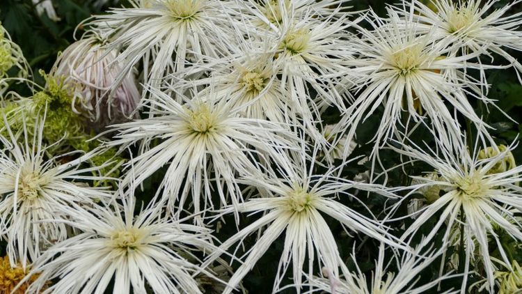 旧爱|在9月底前，有好运扎堆，贵人协助，升职涨薪，收入翻倍的生肖！