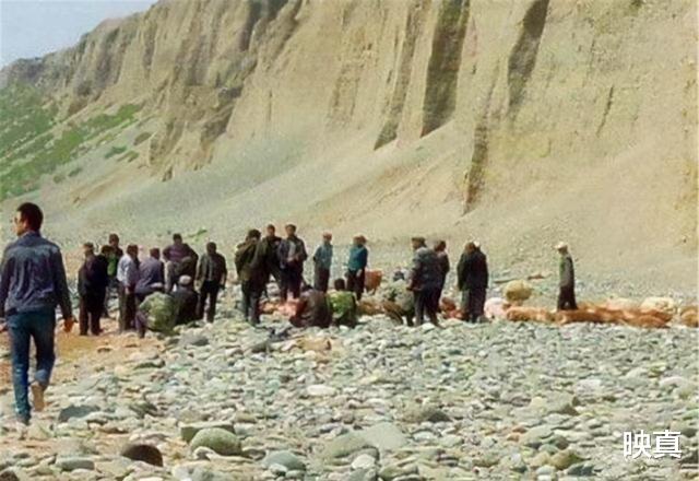 映真|新疆30万老鼠集体跳崖自杀?专家给出的解释,令人深思