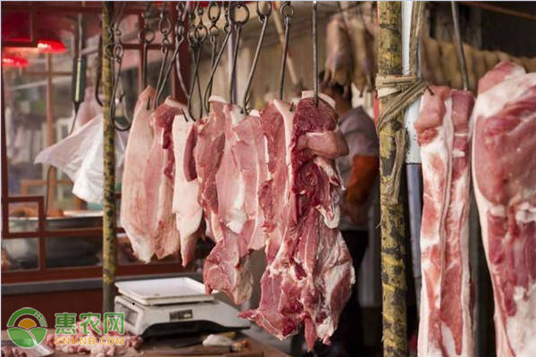 今日豬肉價格多少錢一斤？2020年8月7日全國豬肉價格最新行情-圖2