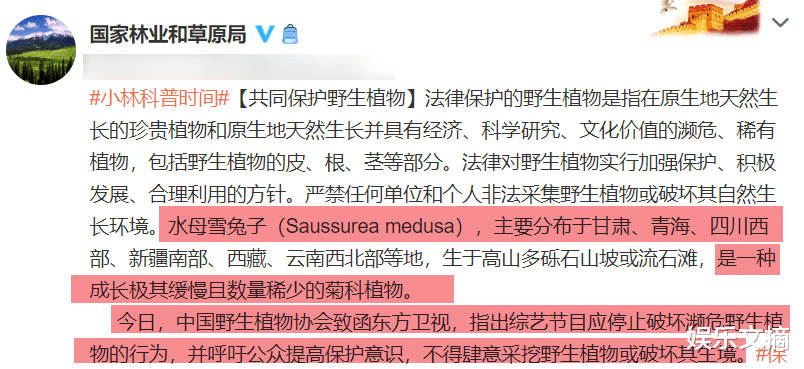 甩锅|《极限挑战》导演甩锅电商,顾有容再次发声:请提供道具交易信息