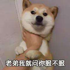 影帝■两大影帝一位影后，却拍出这部国产片耻辱，抄袭蝙蝠侠剧本还狡辩