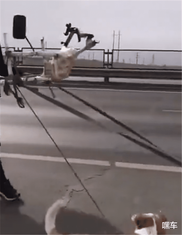 『西藏』又一位“假徒步”西藏的,一人一狗一台捷达,被发现后还指指点点