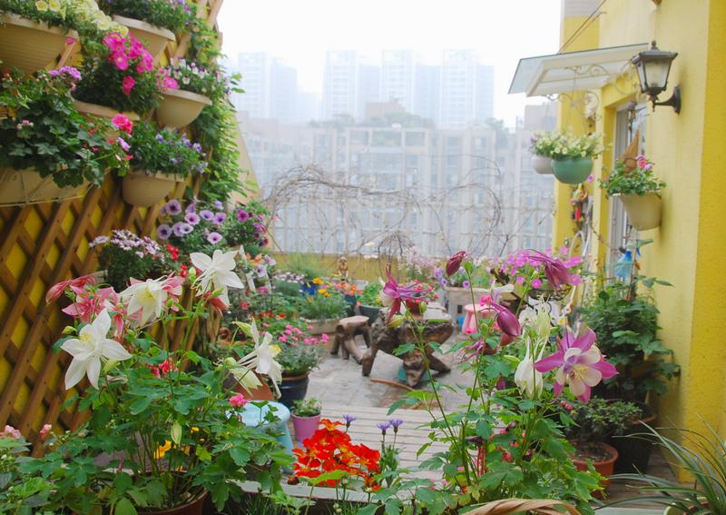 「」35㎡顶楼露台造园，不到一年，把家打造成了空中的“世外桃源”