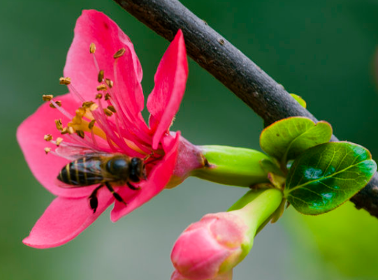 霉运|进入11月下旬，4属相霉运散去，财运滚滚，贵人相助，生活顺心