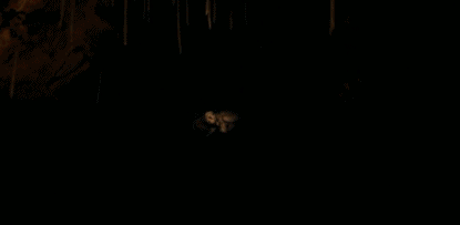 霍莉|吊打93%的恐怖片，它为什么这么牛？