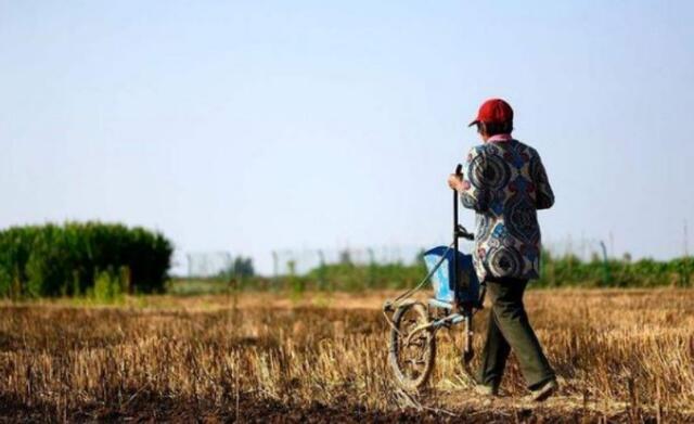 科学家|人类历史180万年，其中179万年碌碌无为，为何突然变成高级生物