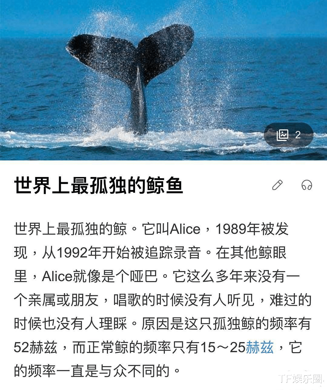 陈卓璇|陈卓璇再现迷惑发言, 这次她话中有话,在暗示粉丝,陈姐太聪明