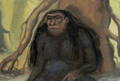 「长臂猿」印尼发现神秘小脚怪 海底发现神秘人类，网友：大自然真神奇