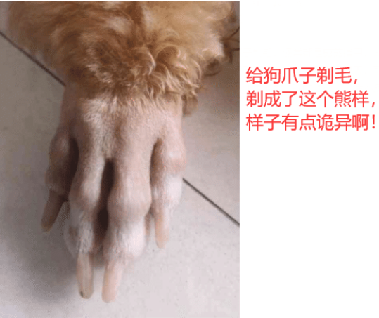 彭于晏|“班上的女同学都说我长的像彭于晏！”哈哈哈差点我就信了