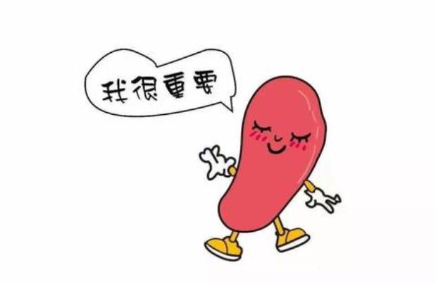 [饮食]脾虚百病生，为什么国人比外国人更容易脾虚？原来跟它们有关！