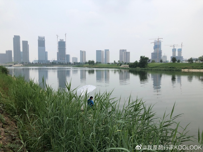 饵料|姜太公钓鱼，愿者上钩！