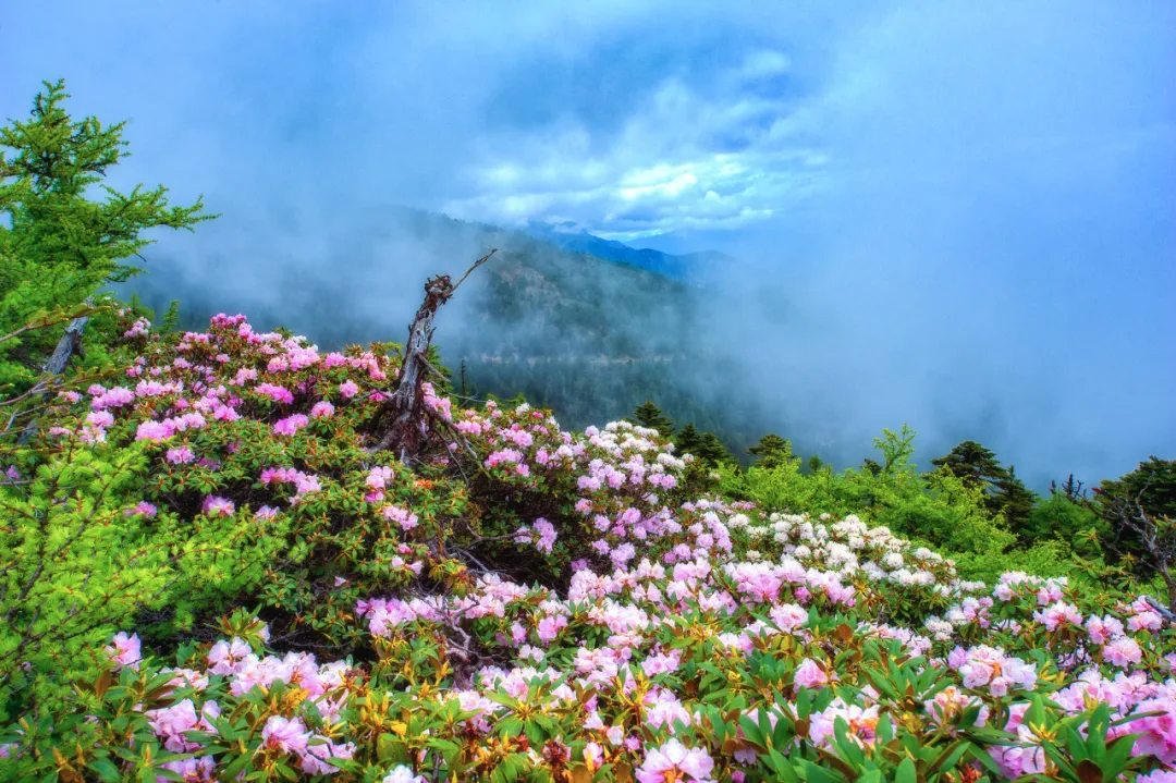 「旅行」5月最佳旅行地清单！10处绝美秘境，第一个就心动……