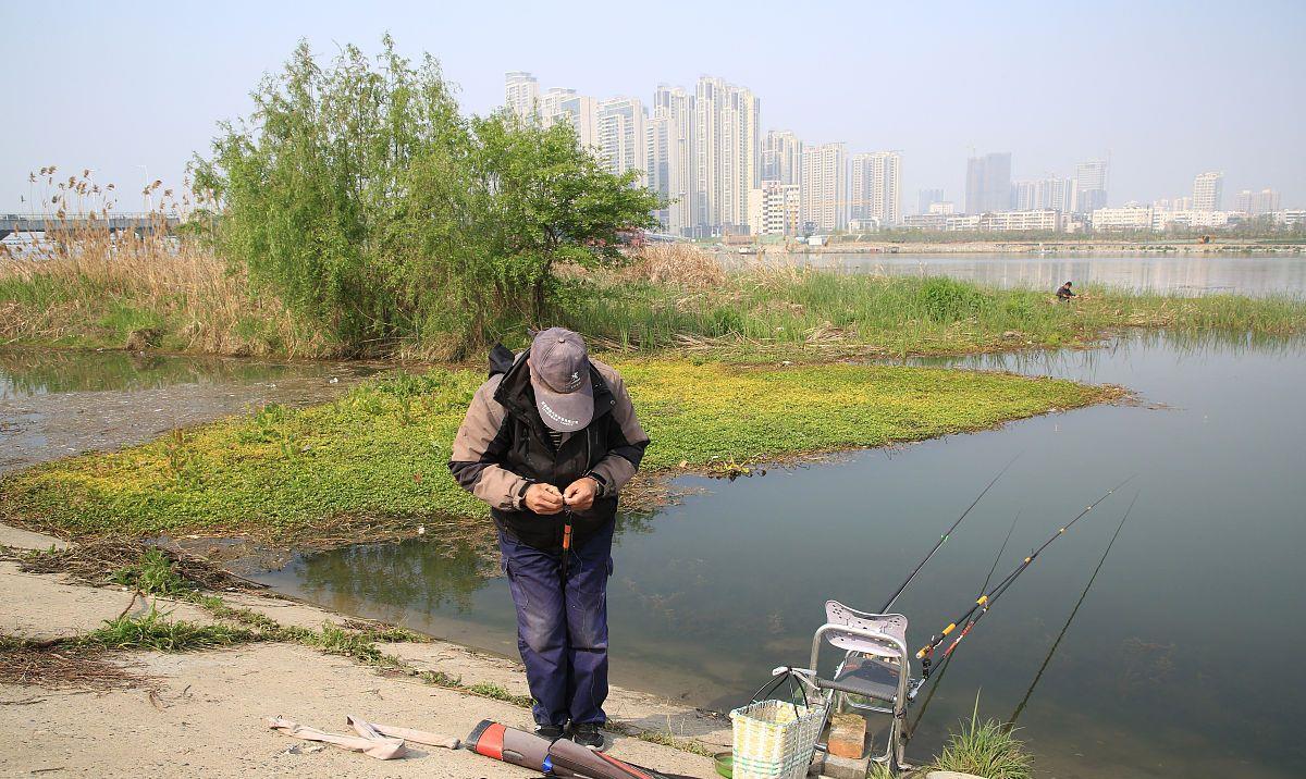 饵料|同样的钓位、饵料,第一天鱼情好,第二天为何钓不到鱼?