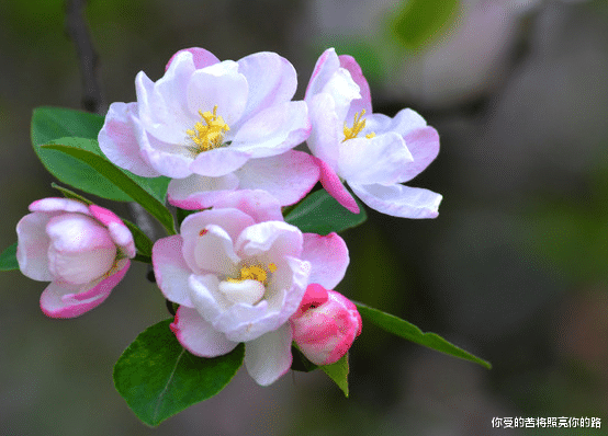 运势|8月初，4属相进入上升期，财路大开，平步青云，日子富贵无忧