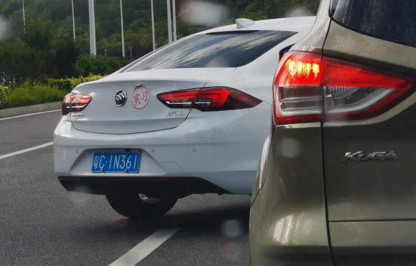 中山▲中山男子爬横琴山被竹叶青咬中！做这个错误动作，引蛇二度攻击！