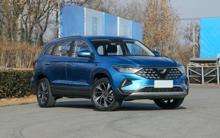 SUV|买得起养不起！这几款国产SUV，油耗分分钟让你哭