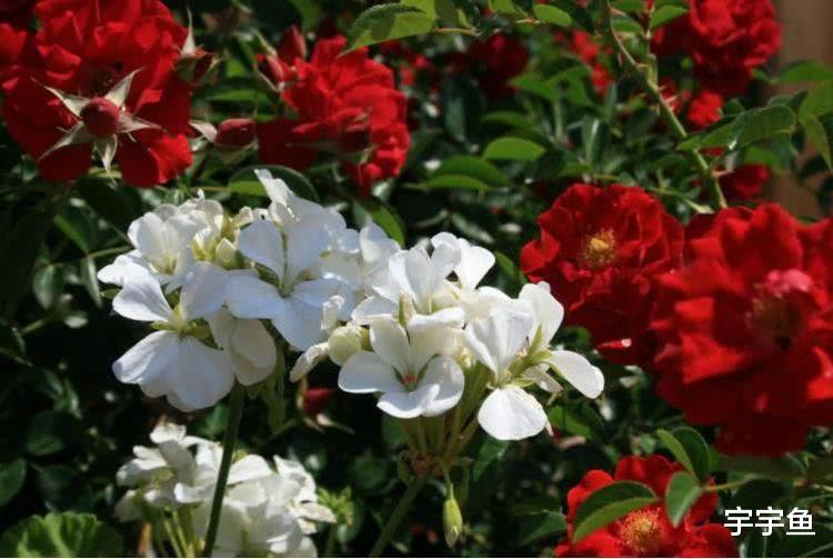 生肖|9月开始财运一路大顺,前途光明,有权有势的4生肖