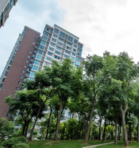 判断小区环境好坏主要看什么? 不只是绿化