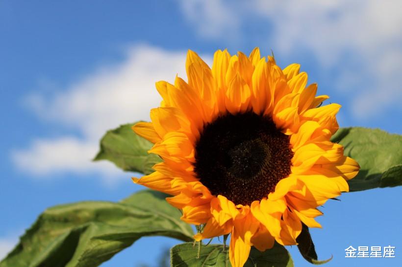 『运势』6月20号生肖运势前三，偏财运旺盛，适合买些彩票助兴