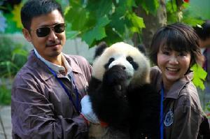 李一桐|戏中是兄妹，戏外却是真夫妻，相濡以沫20年，今一家三口其乐融融