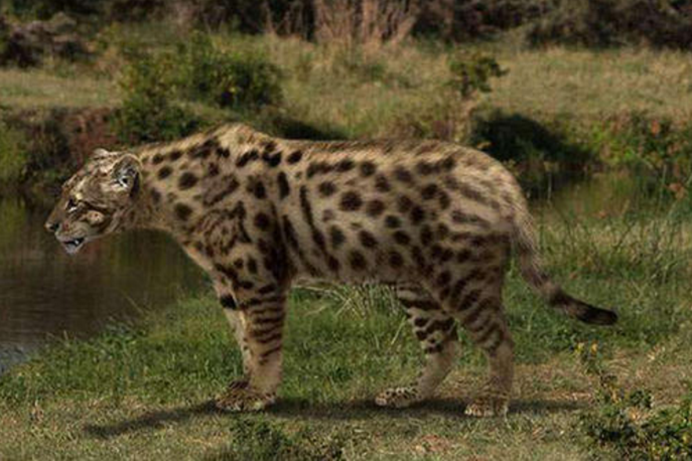 |人类的5大天敌,第3个到现在还让人害怕,碰到它们只能等死