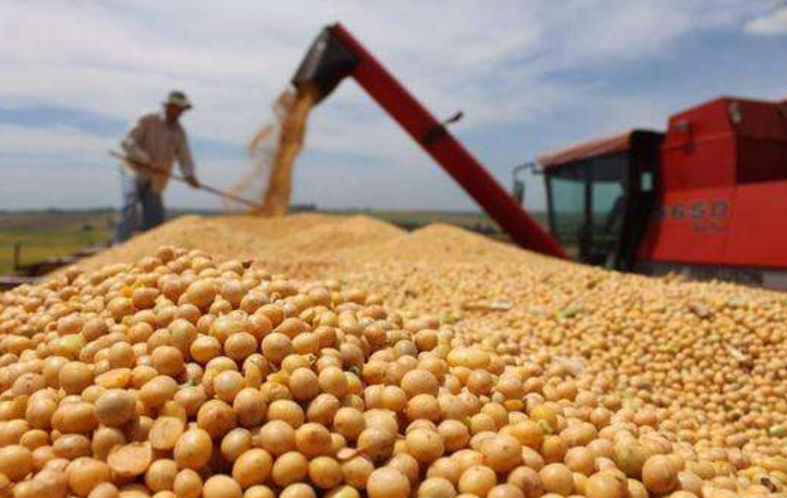美国大豆|抢生意?4000万吨“美国大豆”或被截胡,中国:有本事全拿走