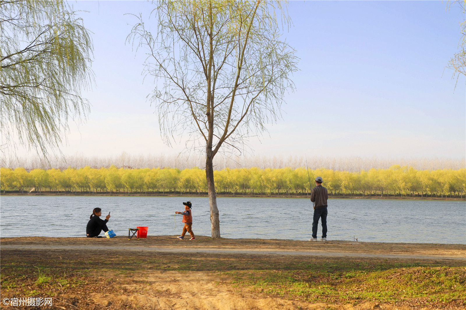 「宿州」安徽宿州：汴堤杨柳绿阴，水边轻风阵阵