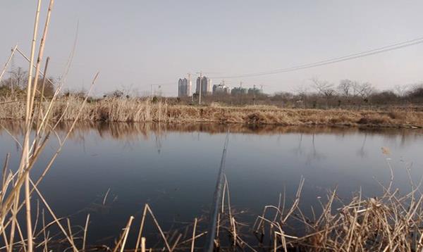 |钓鱼经常脱钩的原因找到了，今天分享给大家