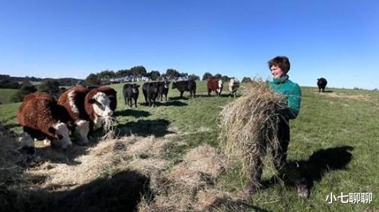 黄金市场|中国释放重要信号！澳洲加快出口速度，巴西、阿根廷也在其中