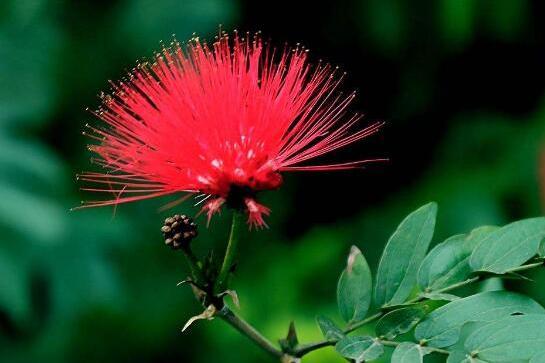 星座女|让人越爱越深的星座女，优雅迷人，是天生的“美人胚子”