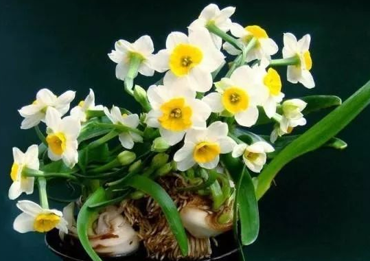 运势■5月中旬，好运来临，4属相得贵人指点，运势大红大紫，喜事连连