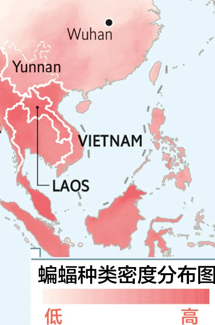 蝙蝠|新冠病毒源头找到了？四位医学专家的话，蓬佩奥你听见了吗？