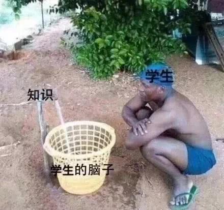 #表情包#大学专业的表情包合集 哪个专业才是最苦的？
