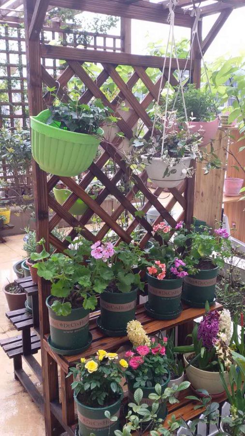 『』180㎡露台造园，买了带露台的房子，老公亲自设计，出门就是花园