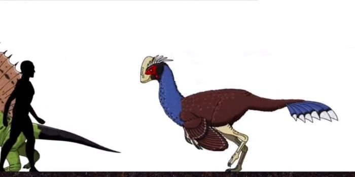 恐龙|远古时期的地球, 曾存在过的可怕生物, 今已全部灭绝