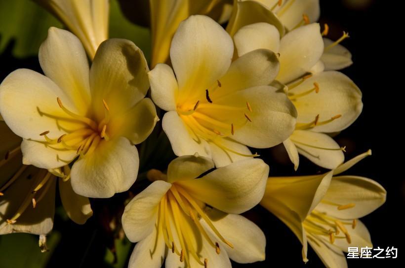 旧爱|在9月上旬，旧爱回归，重温旧梦，喜笑颜开的三大星座