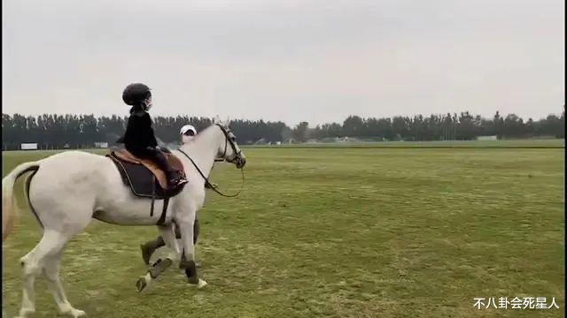 社交平台|章子怡两亿豪宅曝光，宫廷级装修太奢华，三层小楼还带泳池花园