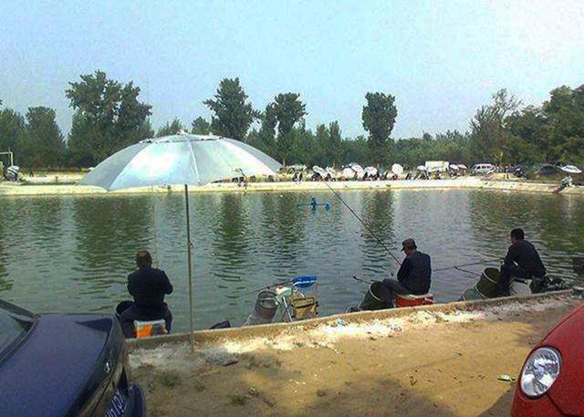 ：坑冠达人分享黑坑钓鱼心得，想得坑冠的钓友看过来