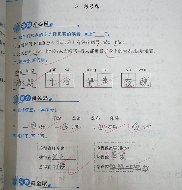 学霸|二年级学霸语文作业，字如印刷体，为何优秀生都有一笔好字
