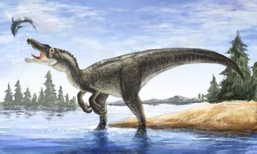 恐龙:恐龙前肢有何用, “小短手”不是摆设,科学家给出答案